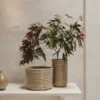 Nium Vase - Off-White